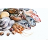 Рыба,  ракообразные,  моллюски оптом от ООО «Решение»